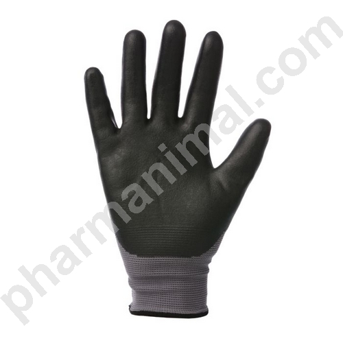 GANTS RIDING WORLD GROOM XL